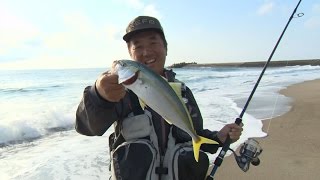 【釣り百景】#140 ショアジギングで山形・新潟のサーフに回遊魚を追う