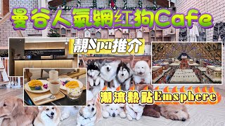 2024曼谷遊🇹🇭(EP3) -  | 曼谷吃喝玩樂推介 | 曼谷人氣狗cafe🐶 | 曼谷潮流商場介紹 | 性價比高靚Spa推出 |