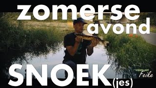 VMF S02 - Afl.5: Zomerse avond snoek(jes)