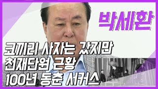 [박세환알리다] 코끼리 사자는 갔지만 100년 동춘서커스는 영원하다