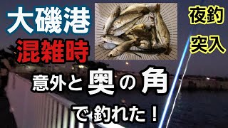 【大磯港 混雑時】夜釣り突入 土日の日中 すみっこでも釣れる！奥の角っちょで ジャリメチョイ投げで釣る 2021年11月下旬 小潮