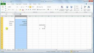 Microsoft Excel 2010 environment user interface - Tutorial 1b