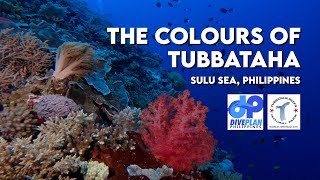 The colours of Tubbataha | GoPro Underwater video FULL HD | Philippines scuba diving