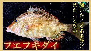 そこそこ珍しい魚【フエフキダイ】で4品作って食リポ