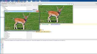 7 Python3 OpenCV Bluring And Smoothing Images