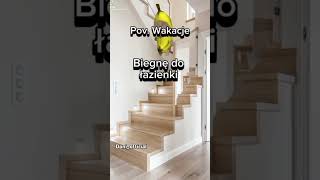 Błagam niech się wybije robiłam 1,5h #shorts #viral #wybijsie #cats #koty #wakacje #subskrybuj #like