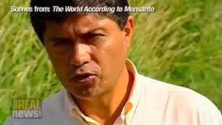 Monsanto - The Whole Truth About Them