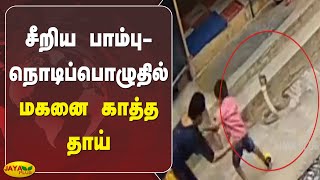 சீறிய பாம்பு - நொடிப்பொழுதில் மகனை காத்த தாய் | Snake | Child Rescue | Kerala