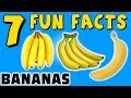 7 FUN FACTS ABOUT BANANAS! FACTS FOR KIDS! Banana! Fruit! Yellow! Learning Colors! Funny Sock Puppet