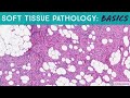 Basic Soft Tissue Pathology Cases: Explained by a Sarcoma Pathologist