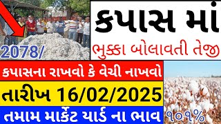 Kapas na bhav | 16-02-2025 | કપાસના ભાવ:2025 | Information about Cotton Crop Price | Commodity