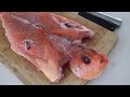 catch and cook yellow tail kingfish and pink maomao episode 74