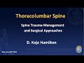 Thoracolumbar Spine Approaches by D. Kojo Hamilton, M.D.