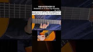 Andantino in A minor古典吉他英皇考级示范曲四级B组第六首