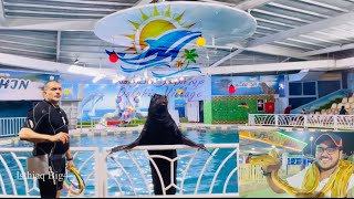 Dolphin Village 🐬 Dammam | Saudi Arabia 🇸🇦