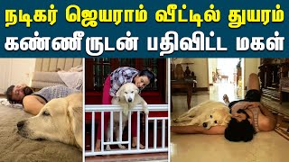 நடிகர் ஜெயராமின் வீட்டில் பெரும் துயரம் | Actor Jayaram | Kalidas | Maalavika | Parvathy Jayaram