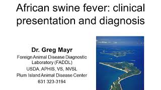 African Swine Fever (ASF): Clinical Presentation and Diagnosis