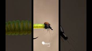 2 Minute Glass Caddis! #flytying #flyfishing #fishingtips #fishing #handmade #satisfying #tutorial