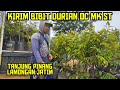 KIRIM BIBIT DURIAN  KE TANJUNG PINANG DAN LAMONGAN ‼️