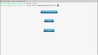 BASH the Command Line! Vi mode