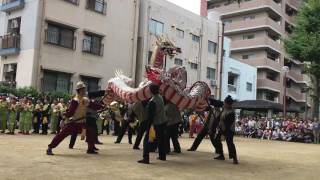 長崎くんち2016筑後町人数揃い