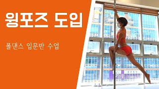 폴댄스 배우기 / 폴댄스 입문 / 폴린이 / 폴댄스 입문 수업 / 윙포즈 도입