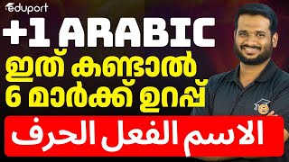 Plus One Arabic - Important Questions | الاسم الفعل الحرف എങ്ങനെ കണ്ടെത്താം | Eduport