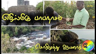 எழில்மிகு பாபநாசம், சொரிமுத்து ஐயனார் | Papanasam | Sorimuthaiyanar temple