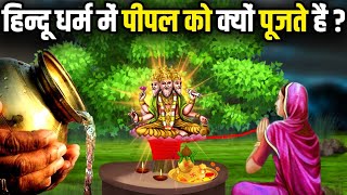 क्यों होती है पीपल और बरगद के पेड़ की पूजा? | Why is Peepal Tree worshipped in Hinduism?