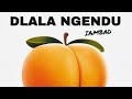 IAMBOY - Dlala Ngendu (Audio)