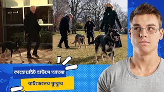 আতঙ্কে ভরা হোয়াইট হাউস বাইডেনের কুকুরের অদ্ভুত কাহিনি | Biden Dog | White House |