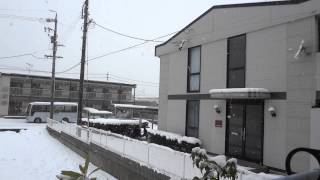 2014年2月14日の大雪！！！