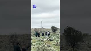 Fresh search for Gus Lamont | 9 News Australia