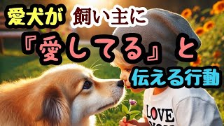 愛犬が飼い主に『愛してる』と伝える行動10選