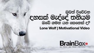 Lone Wolf | Sinhala Motivational video