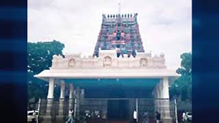 Pillaiyarpatti Karpaga Vinayagar temple