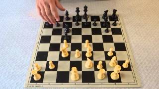 Chess Opening for White: Botvinnik-English System against the Sicilian Defence