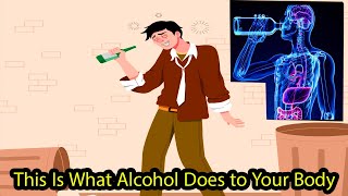 This Is What Alcohol Does to Your Body! The Truth They Don’t Want You to Know!