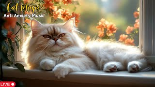 Peaceful Piano Music for Cats: Reduce Anxiety, Sleep Better \u0026 Stay Calm This Beautiful Day