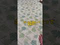 ボール遊びしてたのに？な柴犬さん＃shorts＃柴犬風太郎＃柴犬＃しばいぬ