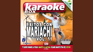 Déjame Amarte Otra Vez (Karaoke Version)