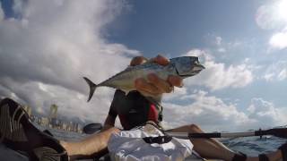 САП SUP Испания  Benidorm Paddle board fishing 27.09.2016(2)