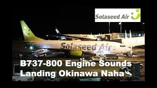 Solaseed Air B737-800 SOUNDS/APPROACH/LANDING/TAXING/ENGINE OFF