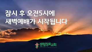 [센텀장로교회] 20241027 | 온라인새벽예배(말씀사랑) 창세기 1장