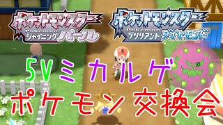 【ダイパリメイク】5Vミカルゲ配布　ポケモン交換会【桜木咲良】