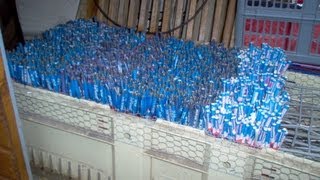 2500 Bottle Rockets/gilpijltjes 2006/2007 (Xtremepyro)