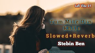 Tu Mile Dil Khile [ Slowed + Reverb ] | Stebin Ben | Asees Kaur | new song 2023 | lofi vibe 01