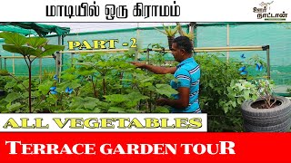 எல்லா காய்கறிகளும் ஒரே மாடியில்  || Terrace Garden Tour || Part-2 || Oor Naattan