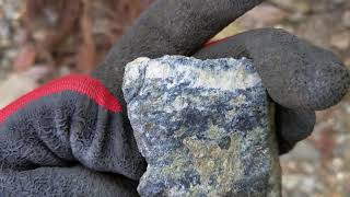 森と蛇紋岩の露頭　Surpentine outcrop in the forest