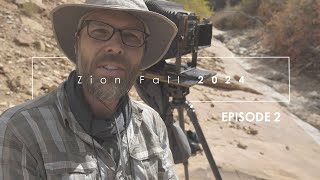 Photographing Zion, Fall 2024: Episode 2